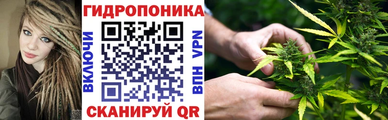 Каннабис гибрид  как найти наркотики  Чудово 